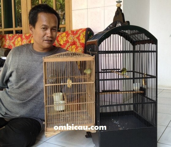 Budi AS mencas pleci dengan betina Budi AS mencas pleci dengan betina