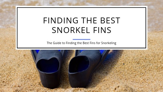 How to find the best snorkel fins
