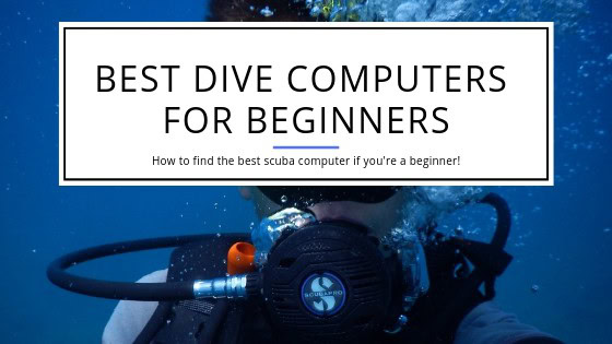 Best Dive Computer for beginning divers