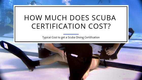 How much will Scuba Diving Certification Cost