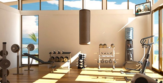 plate loaded machine home gym