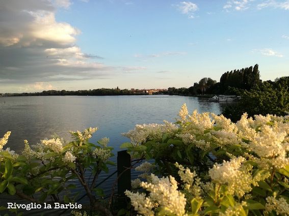 lungofiume Mantova