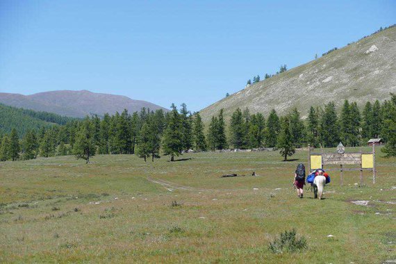 Mongolei Packpferd Trekking