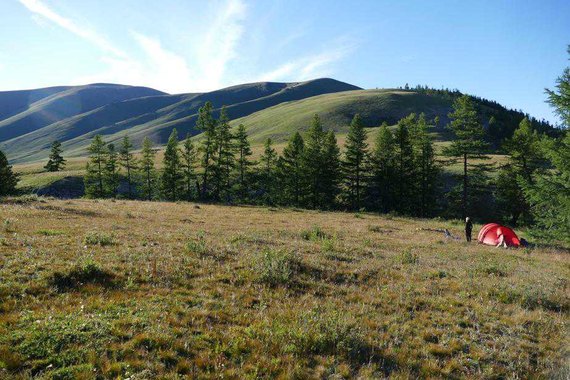 Mongolei Packpferd Trekking