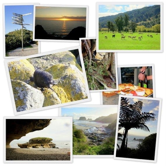Eastbound on the Northwest of South Island Photo Gallery