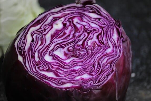 red cabbage red cabbage