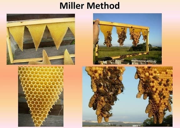 Miller Method Collage