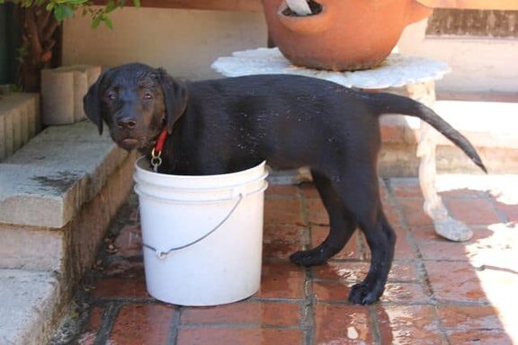 Sachi Cooling Off For The Summer Sachi Cooling Off For The Summer