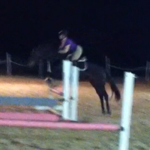 Jumping Joy