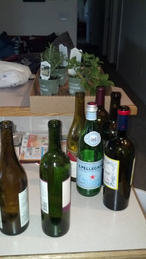 Recycled Wine Bottle Planters - MiniMotives