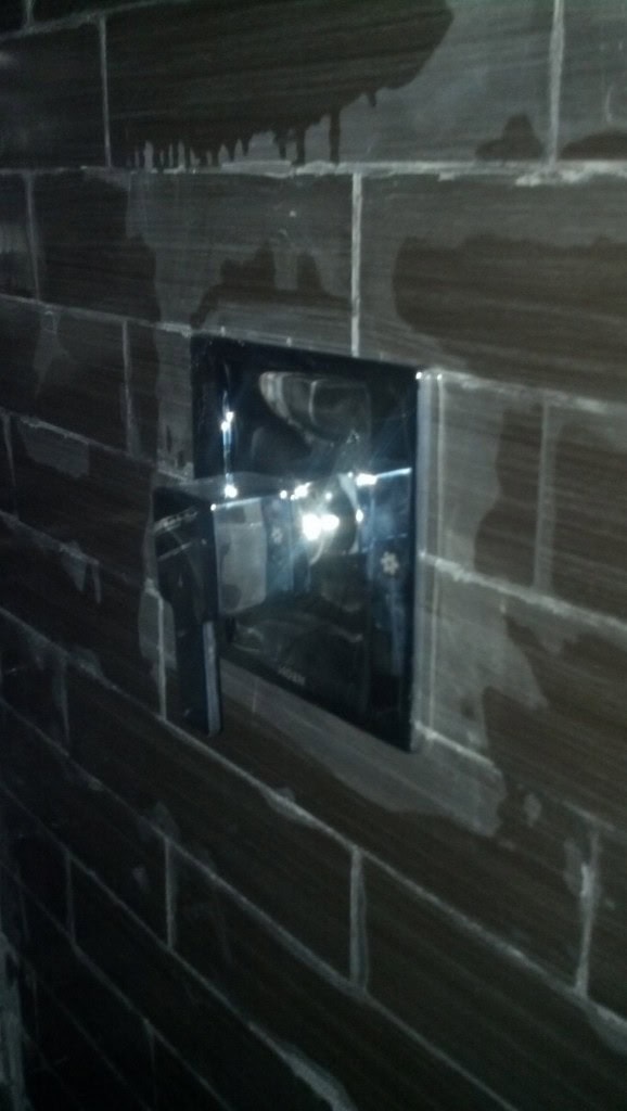 And on to the shower which is still pretty filthy! Here is my hardware for that though