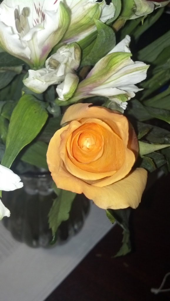 and orange, they are very appreciated!