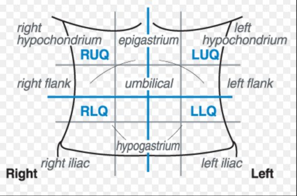 nausea lower back pain loss of appetite