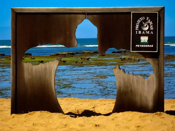 Proyecto Tamar, Praia do Forte, Bahia, Brazil – Experiencing the Globe