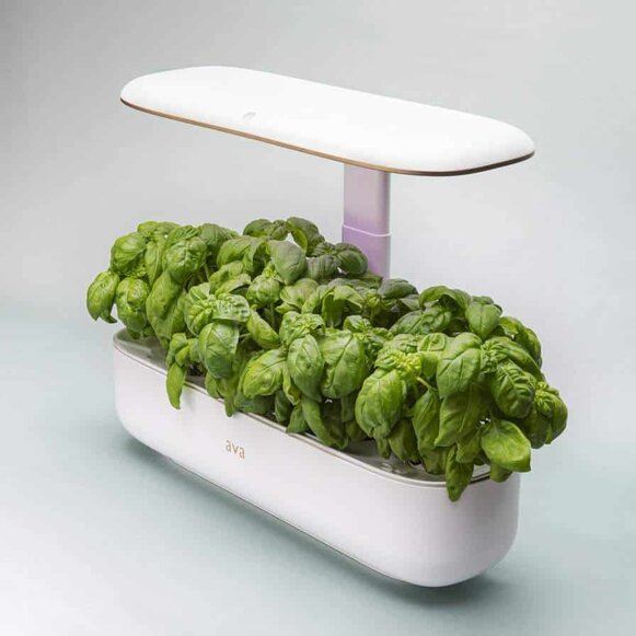 Ava Byte Smart Garden Ava Byte Smart Garden