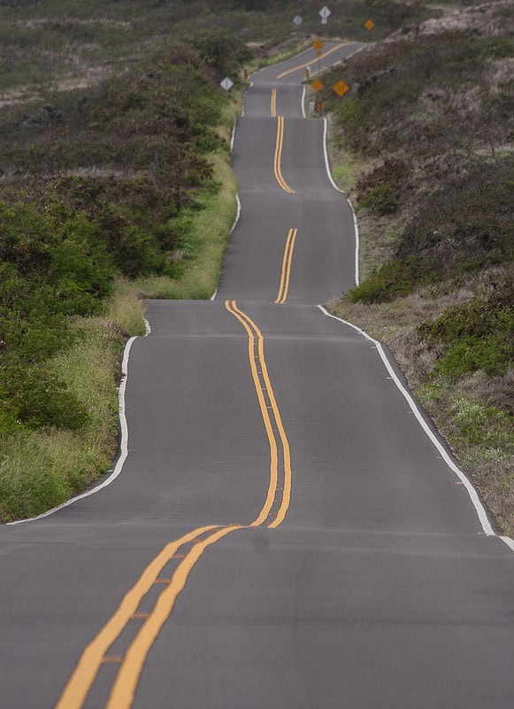 linee curve