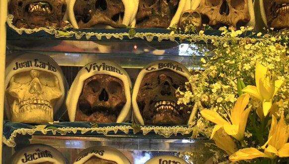 calaveras-humanas-craneos