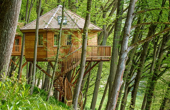 Baumhaushotel Seemühle Baumhaushotel Seemühle