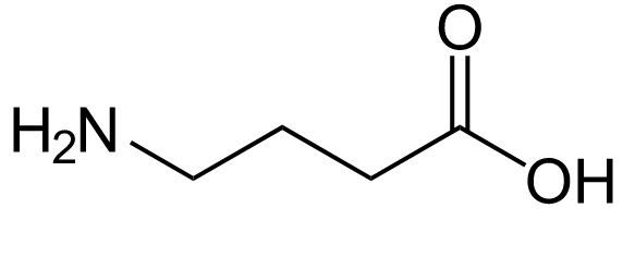 GABA