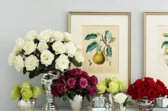 bloomsy roses