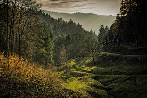 Sommerferien 2020 im Schwarzwald