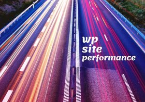 How To Increase Your WP Site Performance Ursus Minor