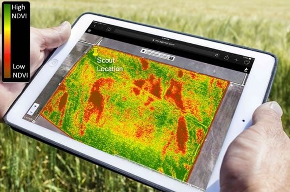 Using NDVI to help manage a golf course 14 NDVI in agriculture, agriculture drone services