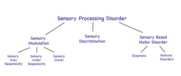 Sensory-Processing-Disorder-Lucy-Miller Sensory Processing Disorder Lucy Miller