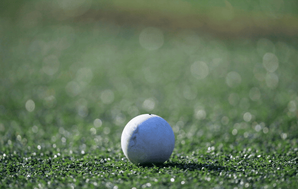 Lacrosse Ball
