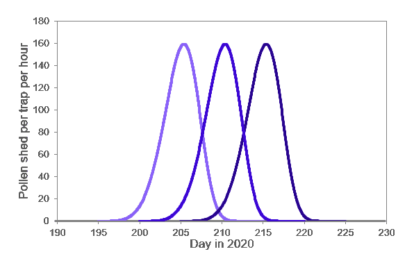 Visualization of hypothetical flowering of male corn lines