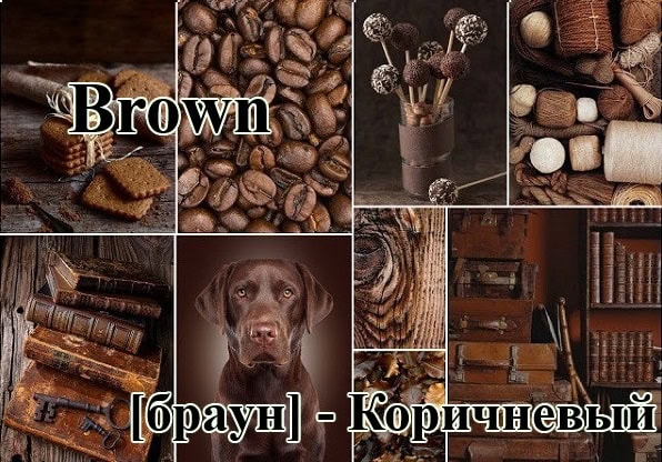 Коричневый по-английски