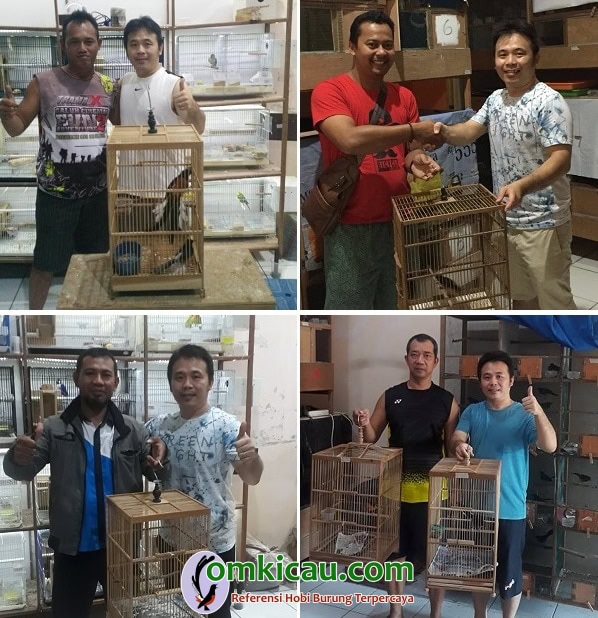 Om Tony (kanan, kaos terang)- sukses menangkar murai batu dengan pakan full jangkrik JK