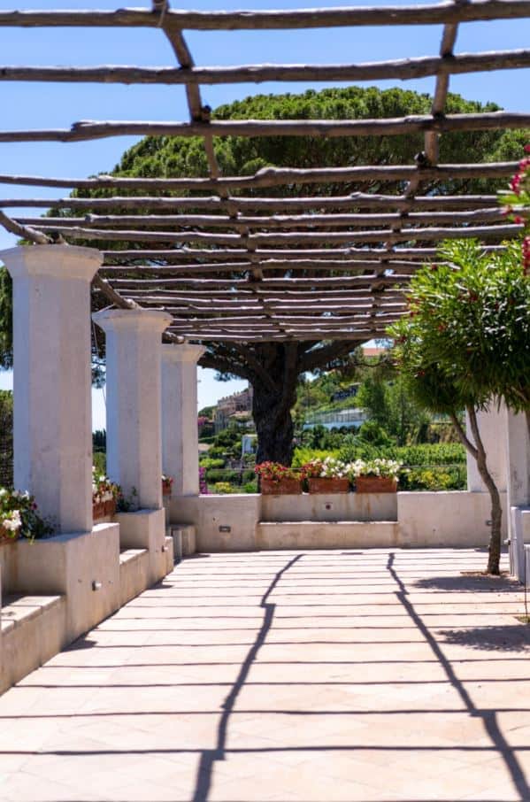 Pergola doesnt completely block the sun.
