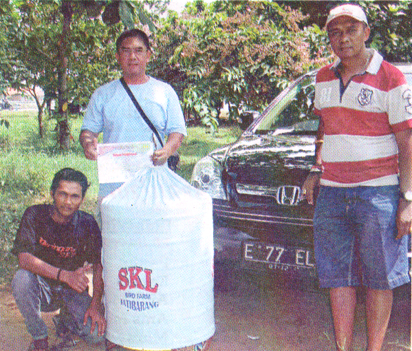 Botak, bukti kualitas produk SKL BF Botak, bukti kualitas produk SKL BF