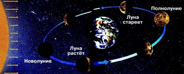 Gdz Po Okruzhayushemu Miru 2 Klass 1 Chast Pleshakov A A Novickaya M