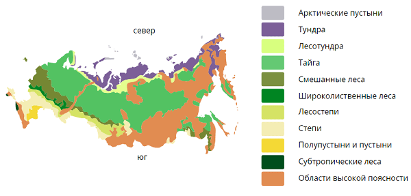 Природные зоны России