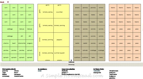 garden plan 2016 April | ASimpleHomestead.com