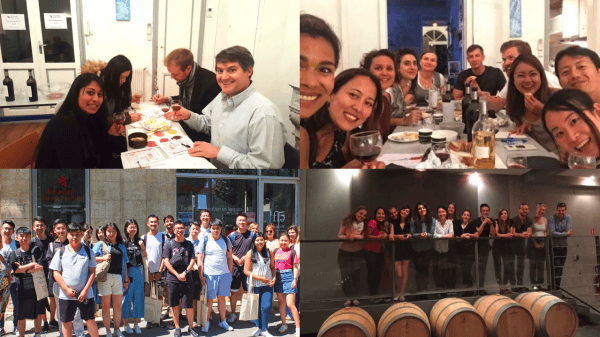 Groups of student in our french cultural activities program wine tasting