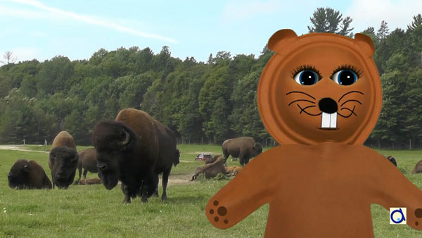Beaverly in her park