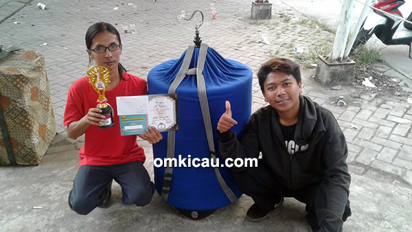 Cucak ijo Semper