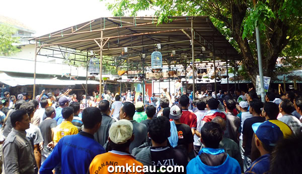 Latpres Uji Nyali Pati