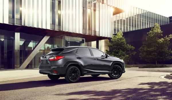 2021 Lexus RX L Black Line in Cloudburst Gray from the rear