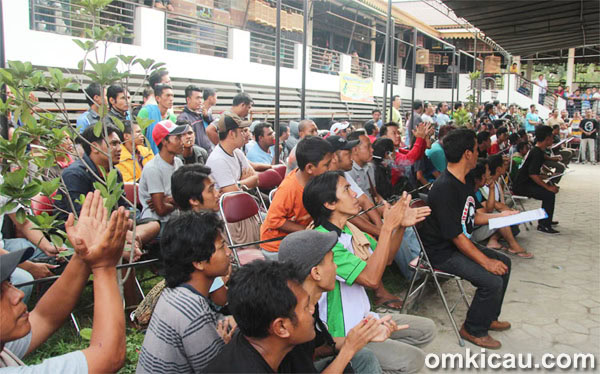 Bursa Love Bird Triwulanan