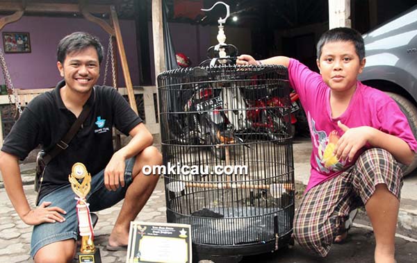 Om Brian dan murai batu New Artomoro