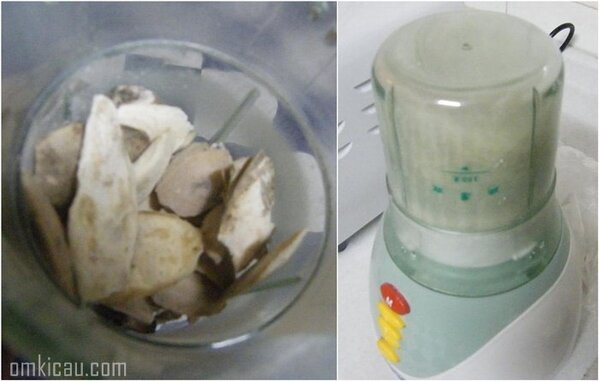milet racikan burung pemakan bijian burung pemakan biji bijian