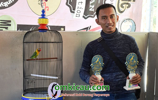 lovebird Acoy
