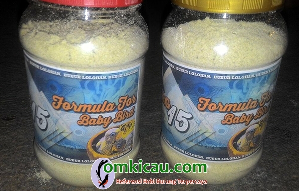 bubur lolohan anakan lovebird