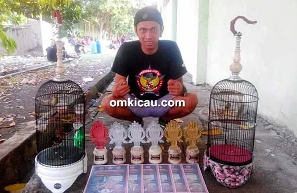 pleci Bolang-Baling pleci Bolang-Baling