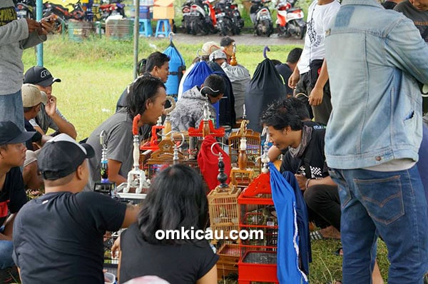 Festival Rawapening Ambarawa 2016