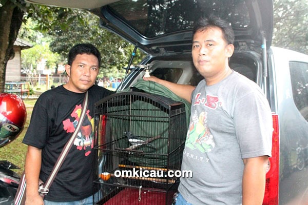 Om Steven dan kacer Demang